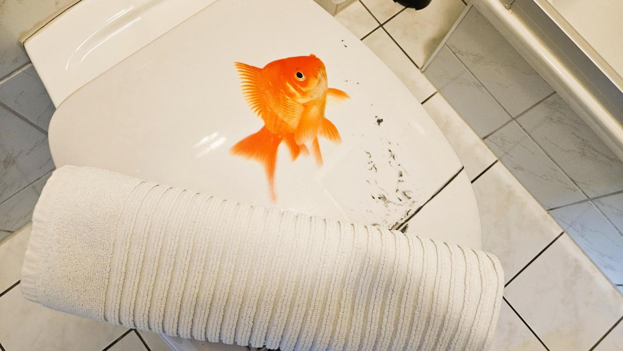 Hotel Dorfkrug Buesum 部屋 写真